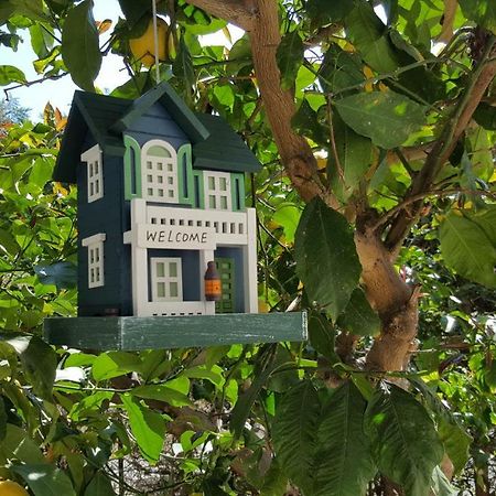 Tortoreto Casa Vacanze Darena מראה חיצוני תמונה